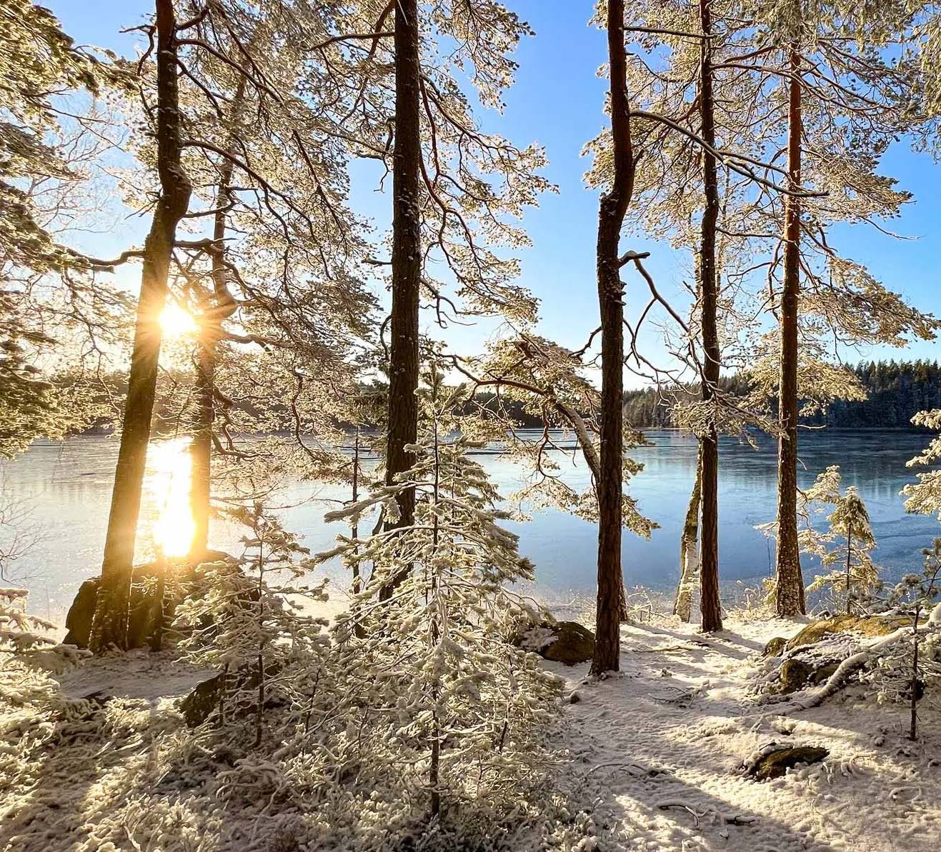 Sunlit frozen lake in Nuuksio